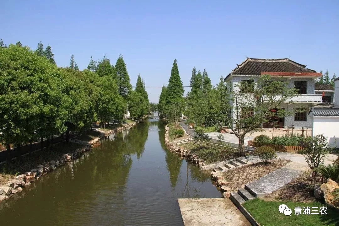 张马村张马江