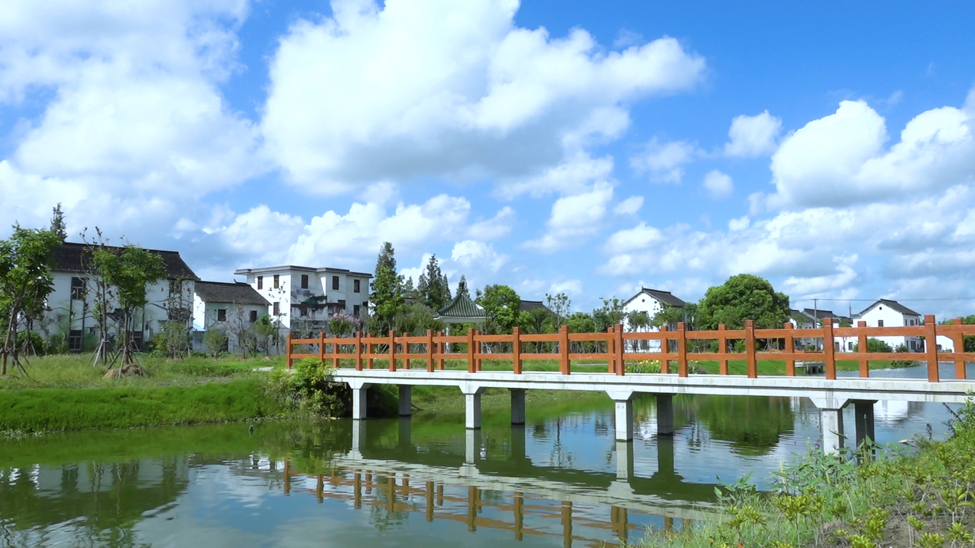 乡村振兴在路上|重固镇徐姚村旧貌焕新颜
