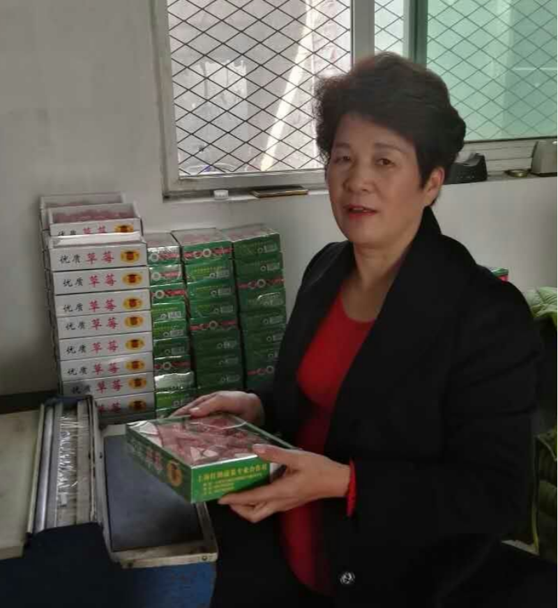 红鹤老总_红鹤