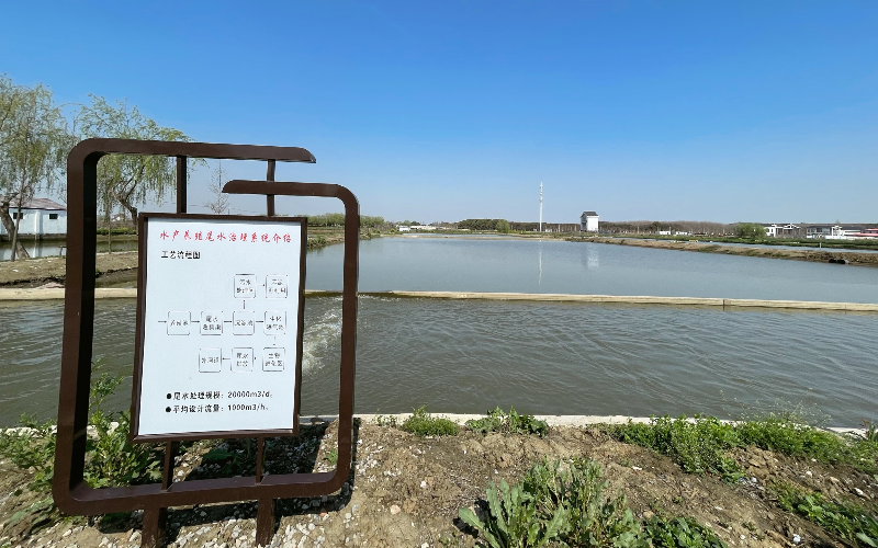 区水产养殖尾水治理基地.jpg