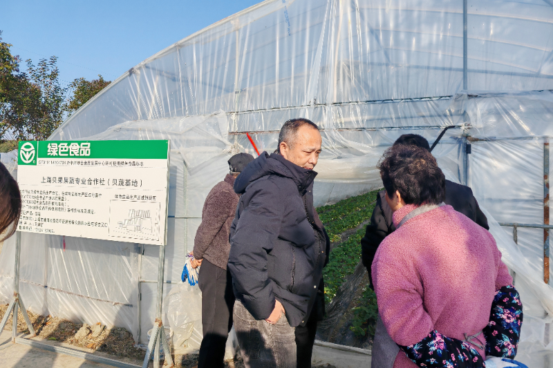 检查组查看贝果草莓种植现场.jpg