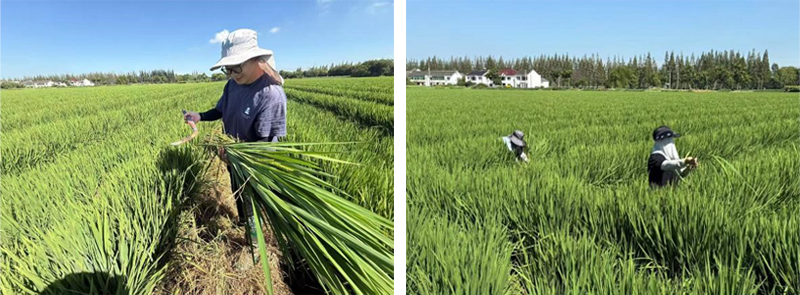 未标题-1.png