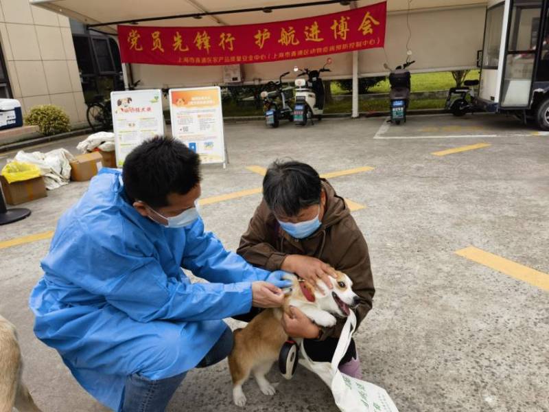 1106_103019_609.jpg image005.jpg