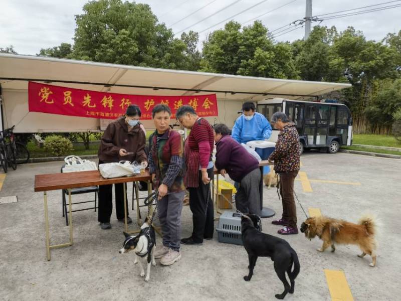 1106_103038_566.jpg image008.jpg