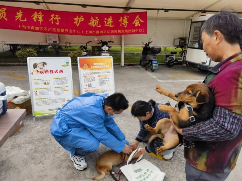 1106_103046_919.jpg image009.jpg