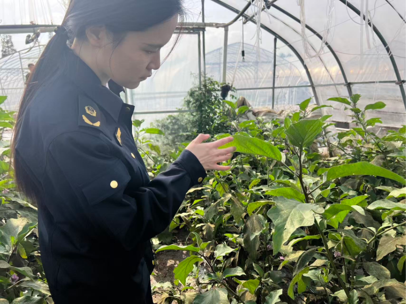 1111_080221_692.jpg 微信图片_2025-11-07_130627_912.jpg