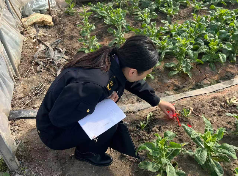 1111_080358_469.jpg 微信图片_2025-11-07_130630_868.jpg