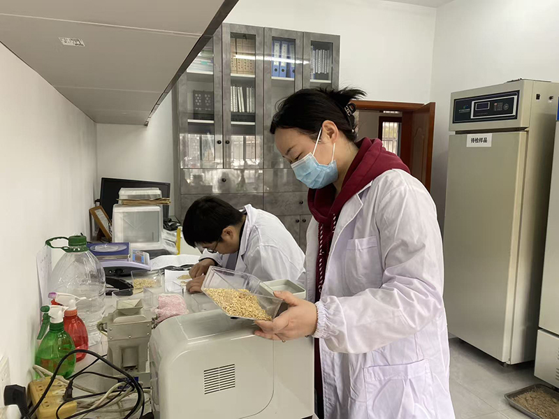 1210_081847_144.jpg image005.jpg