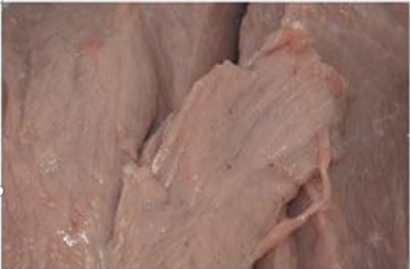 0127_081022_437.png 640.png