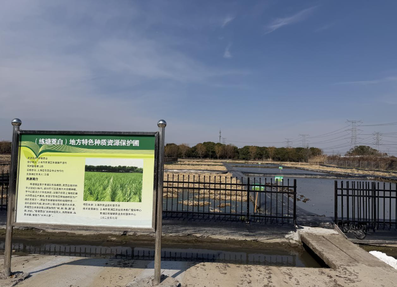 0211_090210_229.jpg image001.jpg