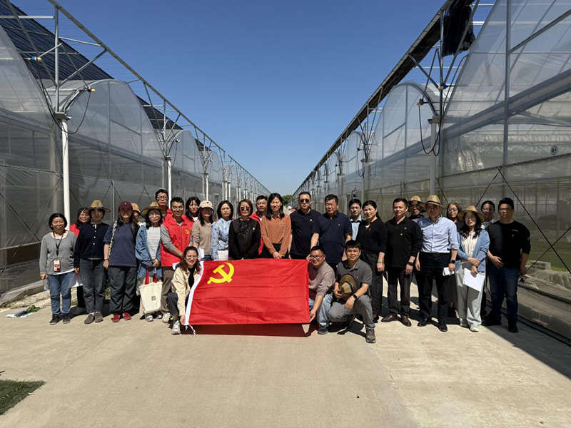 番茄品鉴强农业  联建共悟政绩观