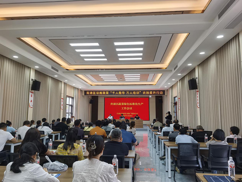 区农技中心召开蔬菜“千人指导万人培训”农技提升行动暨绿色标准化生产工作会议