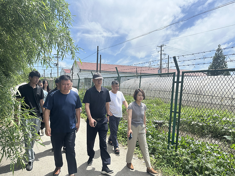 迎战台风 “巴威”！青浦区农业农村委员会赴练塘镇开展农业防汛专项督查