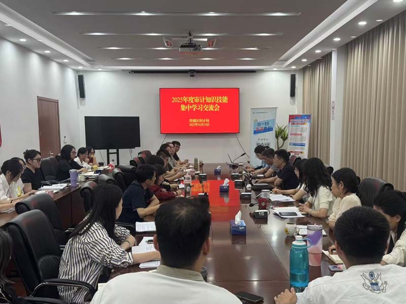 问道四方精研提质 对标一流砺剑赋能|青浦区审计局开展审计知识技能学习分享会（上）