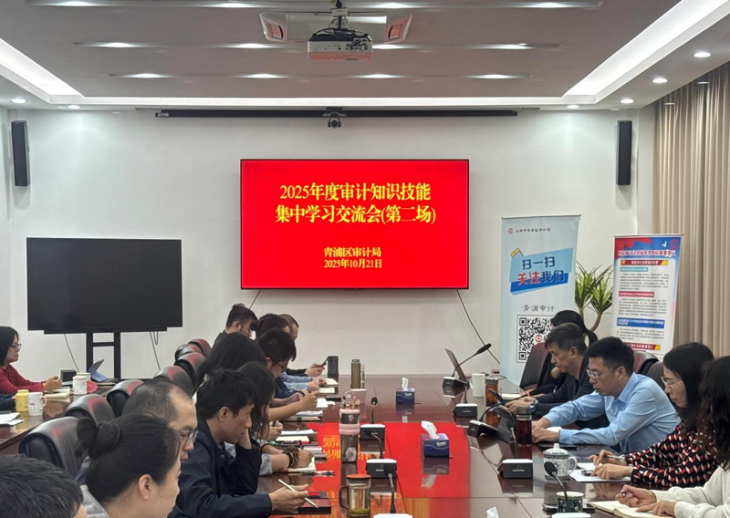 问道四方精研提质 对标一流砺剑赋能|区审计局开展审计知识技能学习分享会（下）