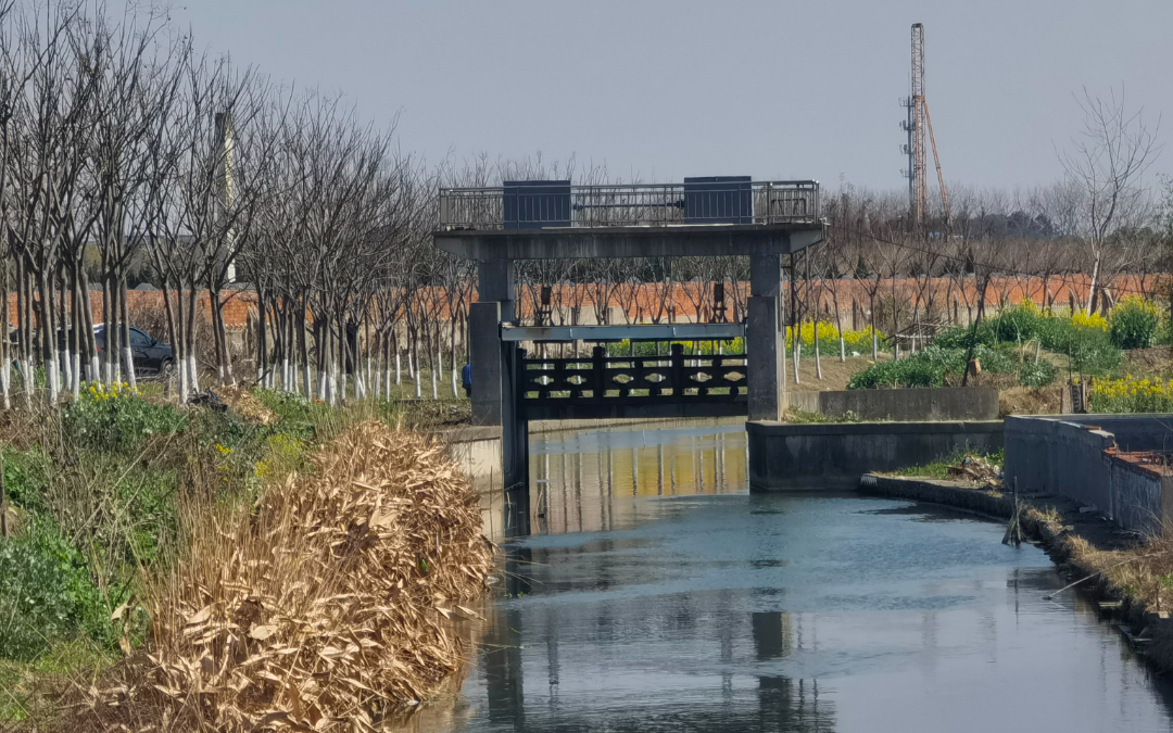 0325_095316_511.png