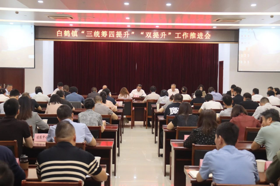 常抓不懈，久久为功！白鹤镇召开“三统筹四提升”“双提升”工作推进会