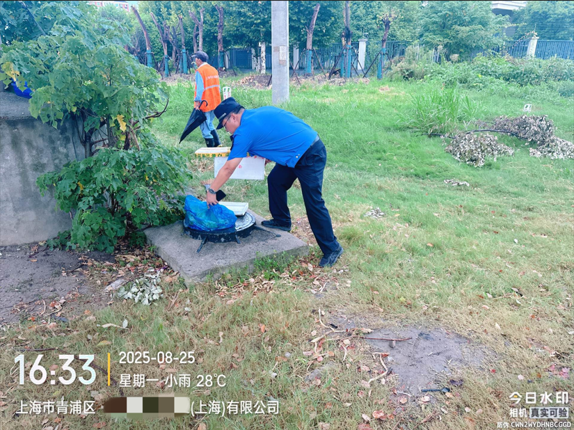 QQ_1756259361338.png