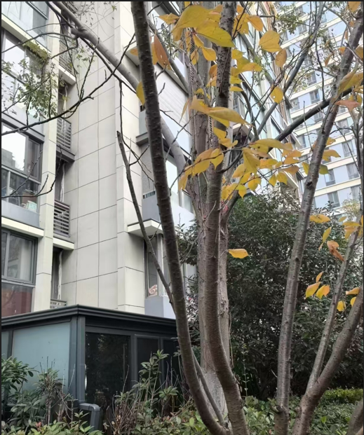 0925_184720_544.png QQ_1758798419862.png