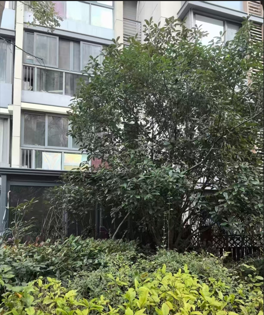 0925_184732_299.png QQ_1758798431500.png