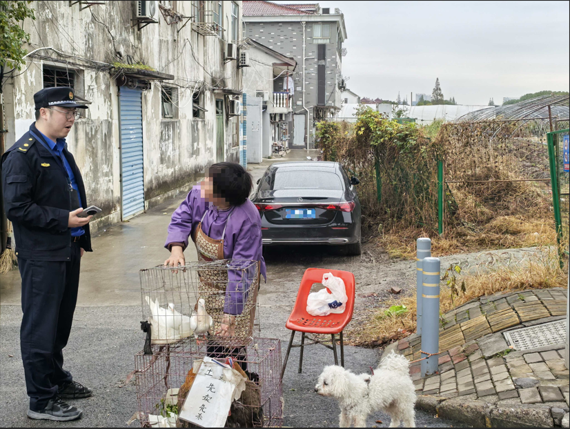 1113_183123_828.png 1763031177750.png