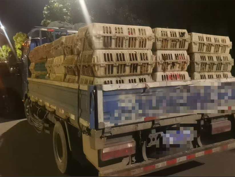 1117_121804_143.png 1763354388975.png