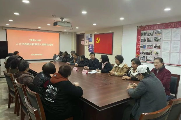 “16日代表联系人民群众日”——汇民意破难题 绘就基层民主新图景