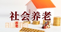 社会养老