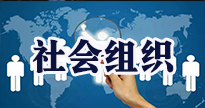 社会组织