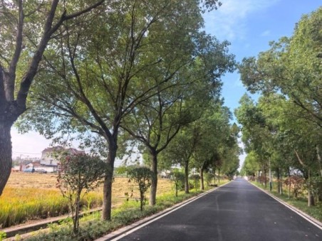 品质升级！天恩桥二路焕新通行服务乡村发展 3.jpg