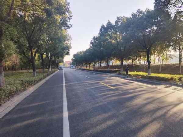 1215_095835_956.jpeg 8.jpeg