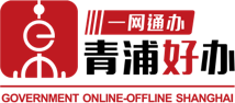 一网通办