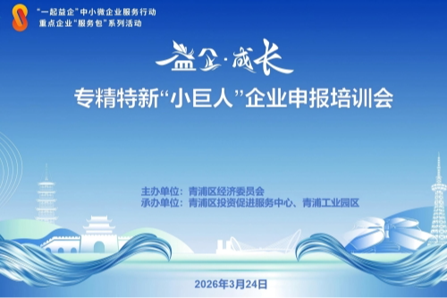 区经委举办2026年专精特新“小巨人”企业申报培训会