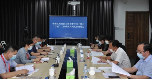 区政协副主席徐孝芳带队赴教育局开展重点提案协商督办