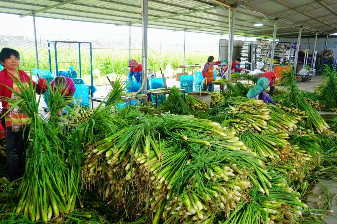 0919_113746_802.jpg 7.jpg