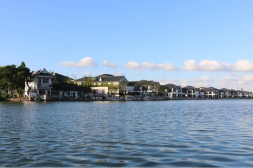 打破行政边界，青浦如何交出“生态联治”高分答卷