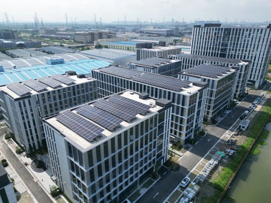 1021_093808_703.jpg 8.jpg