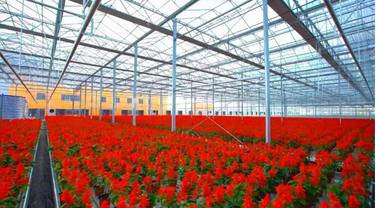 1211_085532_908.png feb09a980158c02fa464f072f0b11359.png