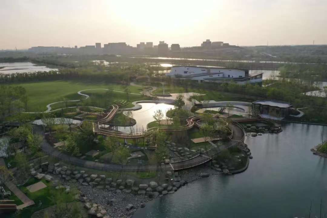 青西郊野公園「大湿地および湿地複合体プロジェクト」が竣工しました