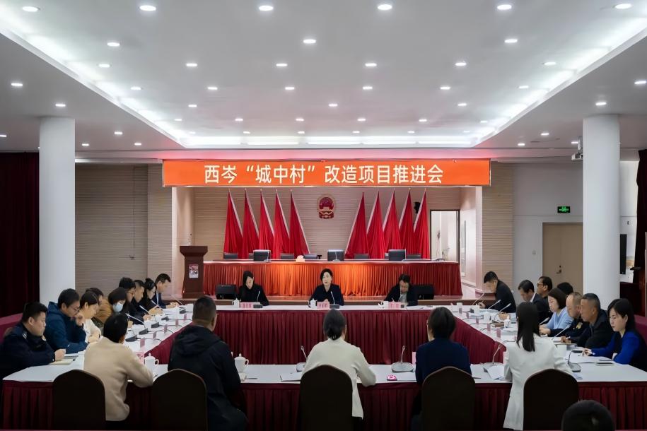 青浦区金泽镇召开西岑 “城中村” 改造项目推进会