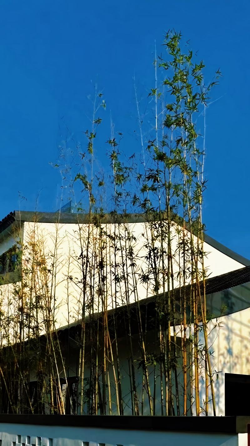 0912_162158_438.jpg 图片4.jpg