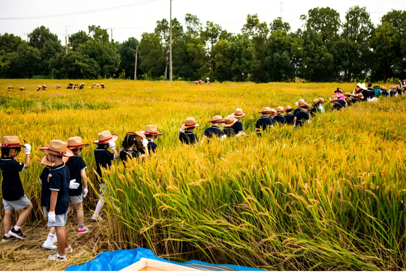 1020_125351_210.png 10.png