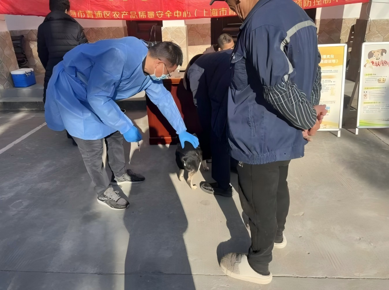 1216_145743_265.png 2.png