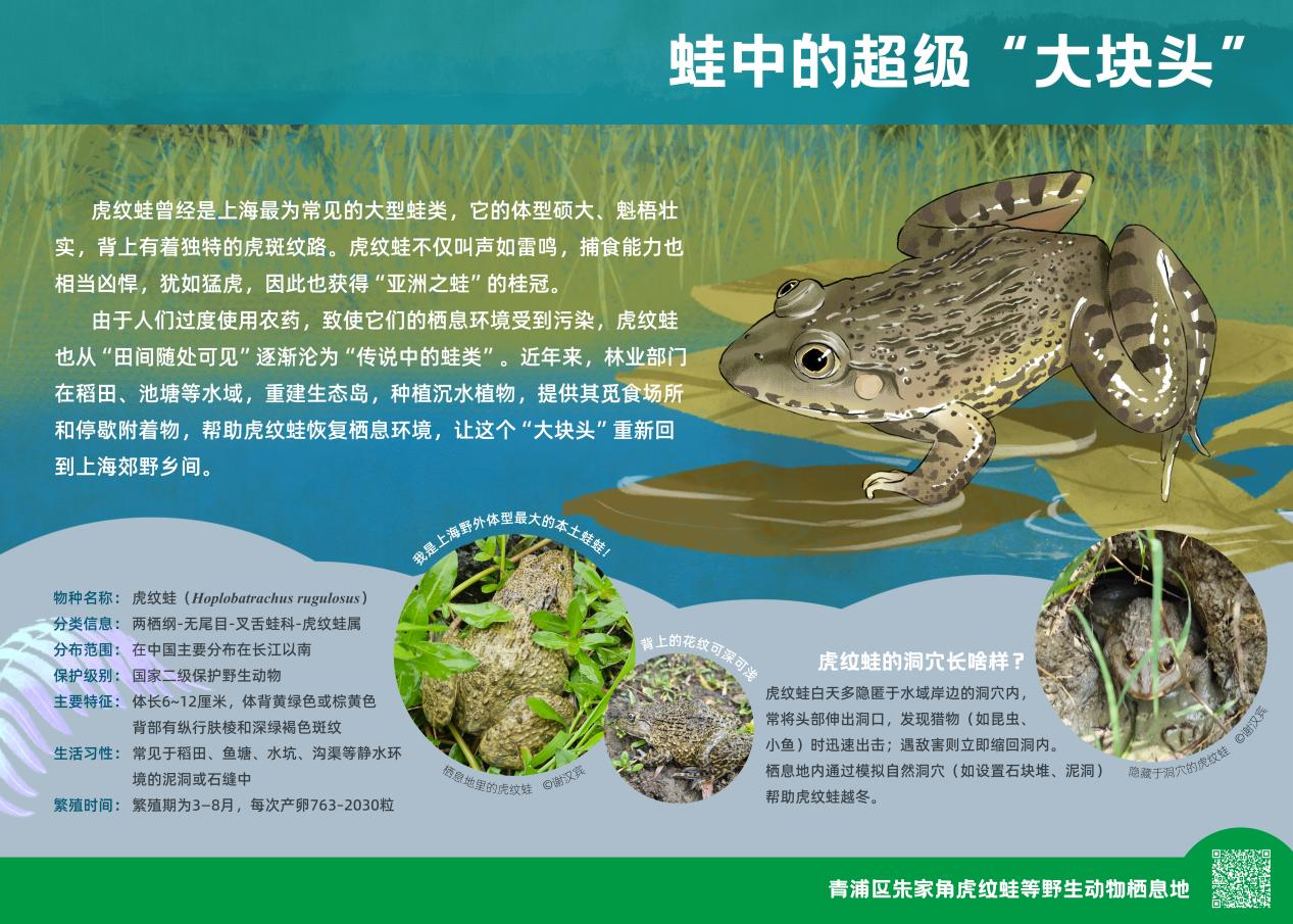 1110_084111_609.png 1110_084111_609.png