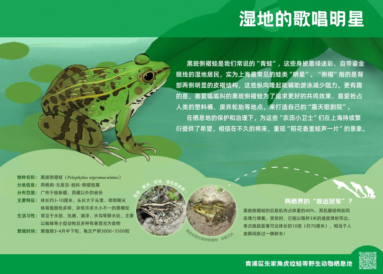 1110_084208_808.png 1110_084208_808.png