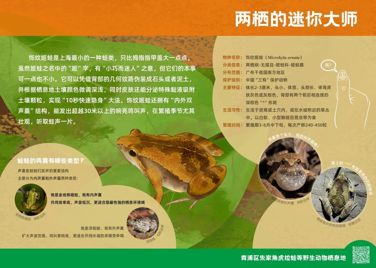 1110_084231_500.png 1110_084231_500.png