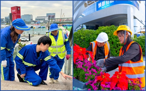 幕后超拼！区绿化市容局用这些“硬核操作”交出第八届进博会“保障答卷”