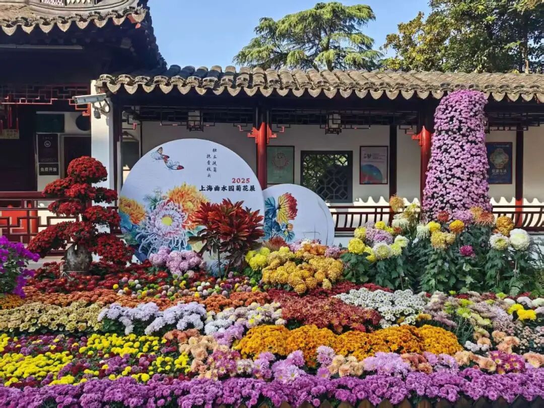 1118_094451_340.jpg 1118_094451_340.jpg