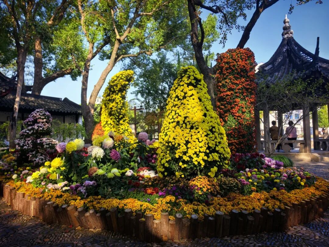 1118_094530_159.jpg 1118_094530_159.jpg