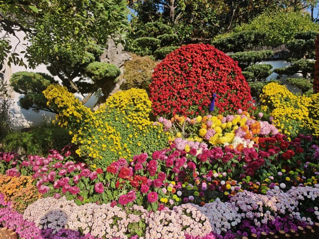 1118_094754_511.jpg 1118_094754_511.jpg